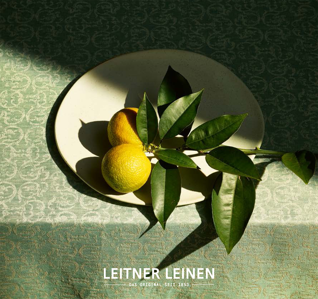 Leitner Leinen Katalog 2025