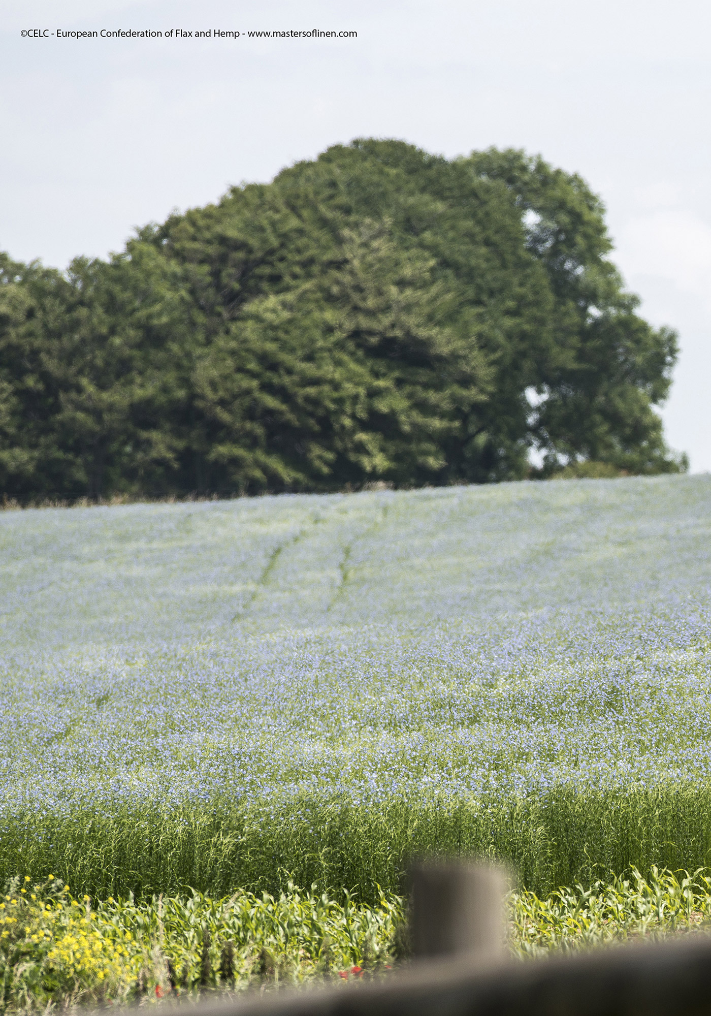 Linen - Good for nature, Good for people