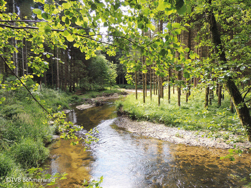 Schwarzenberger Schwemmkanal Schwarzenberger Schwemmkanal