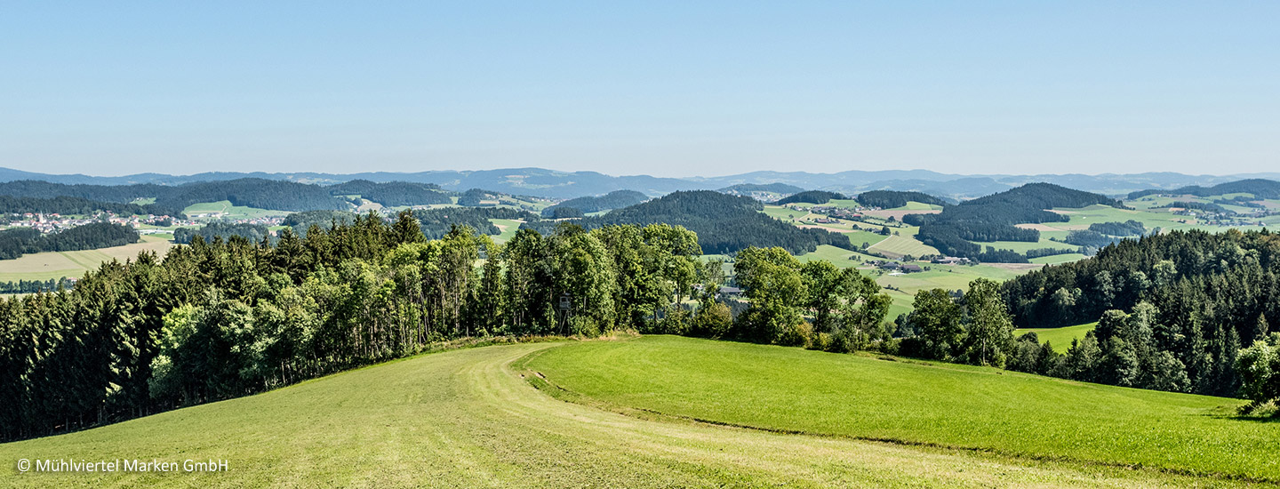 Mühlviertel Mühlviertel